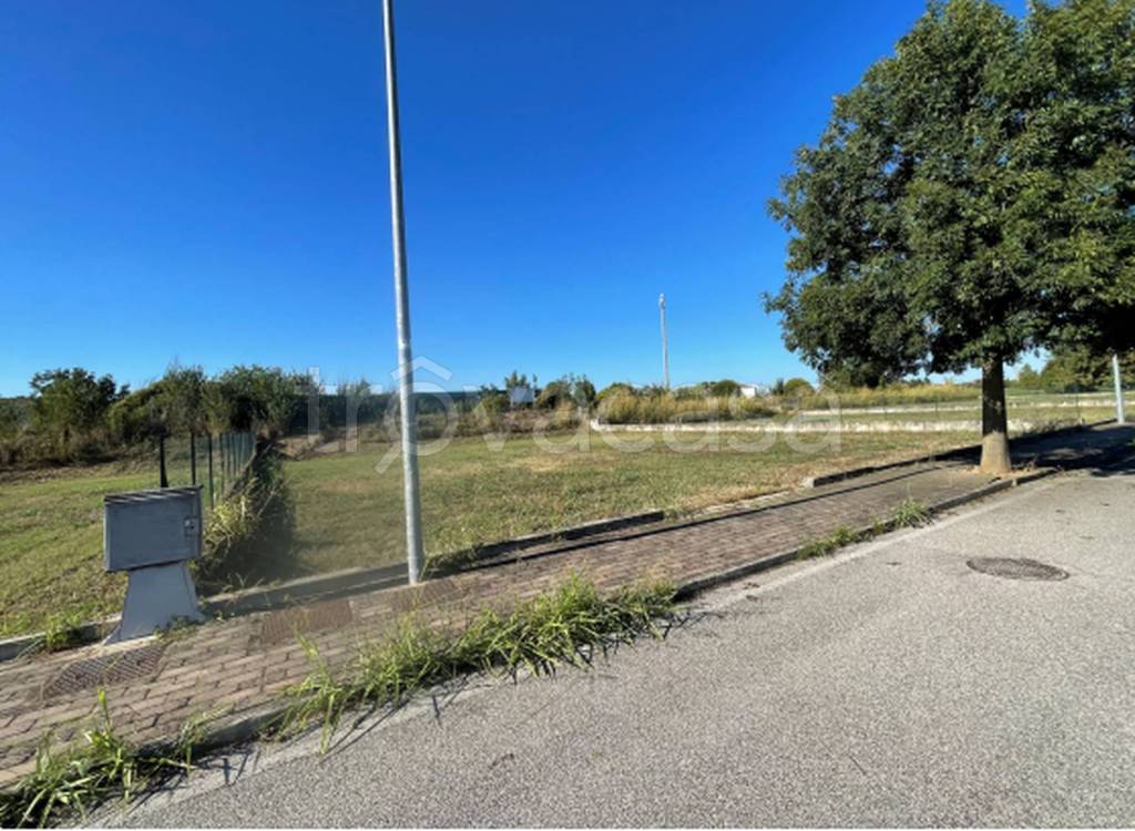 immagine annuncio 8 di 11