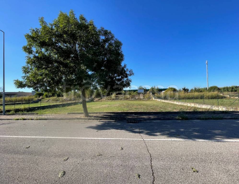 immagine annuncio 10 di 11