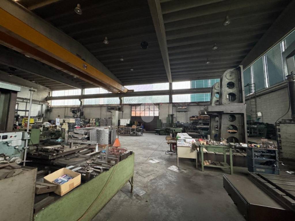 immagine annuncio 6 di 15