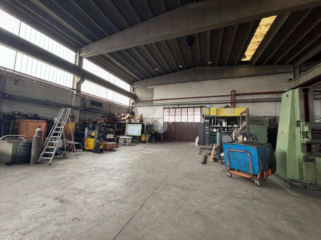 immagine annuncio 9 di 15