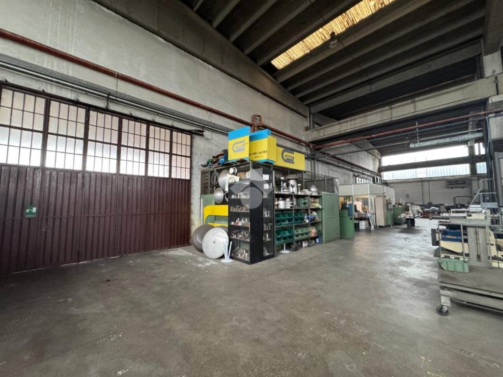 immagine annuncio 12 di 15