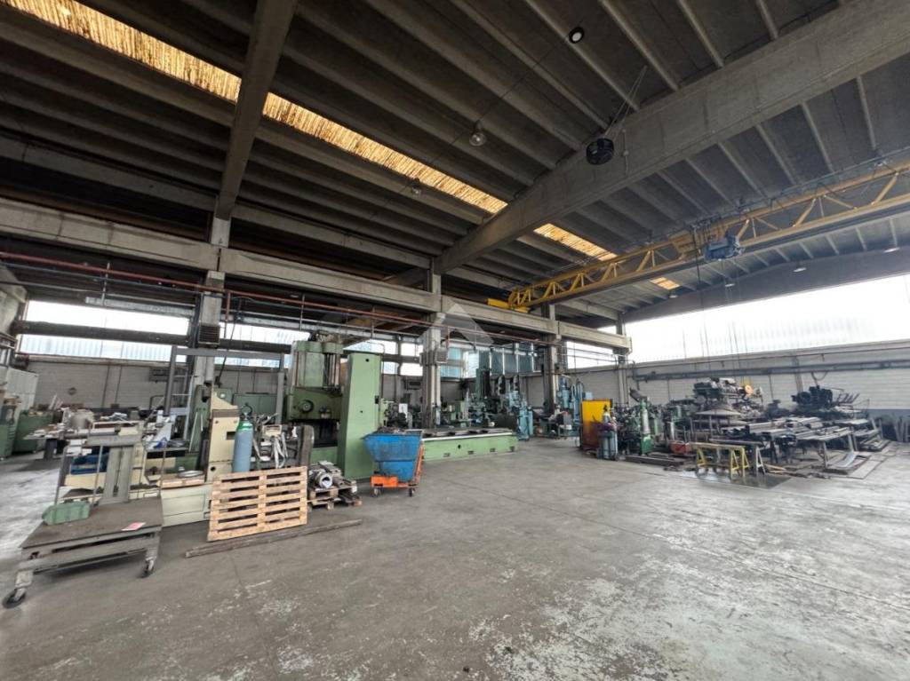 immagine annuncio 13 di 15