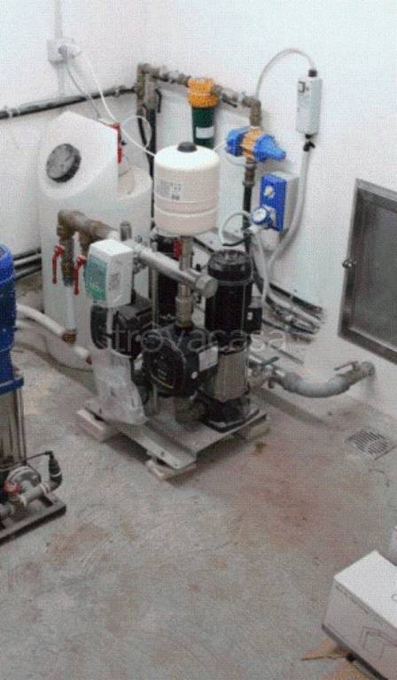 immagine annuncio 7 di 12