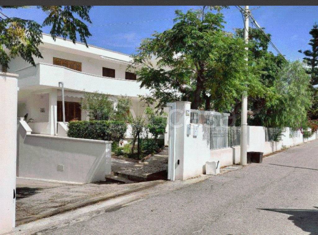 immagine annuncio 10 di 12