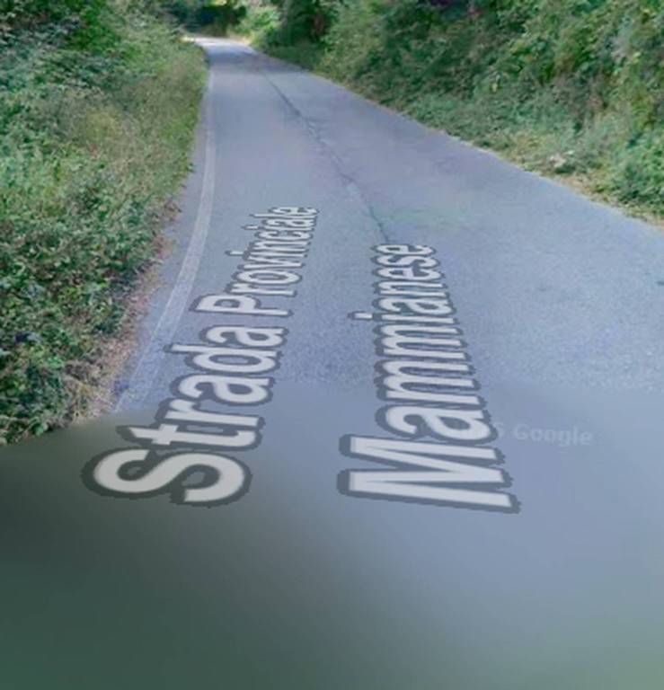 immagine annuncio 2 di 12