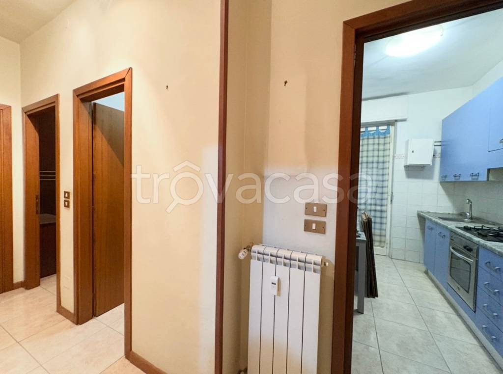 immagine annuncio 5 di 14