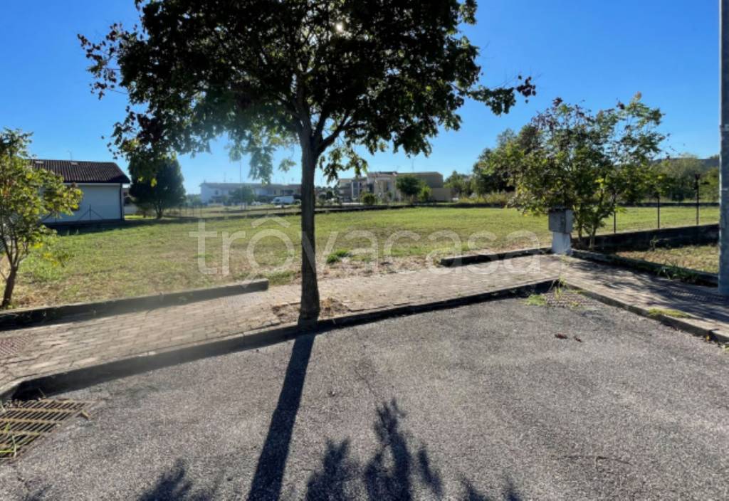 immagine annuncio 3 di 8