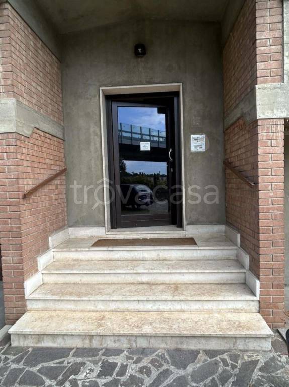 immagine annuncio 6 di 14