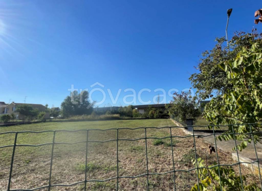 immagine annuncio 4 di 8