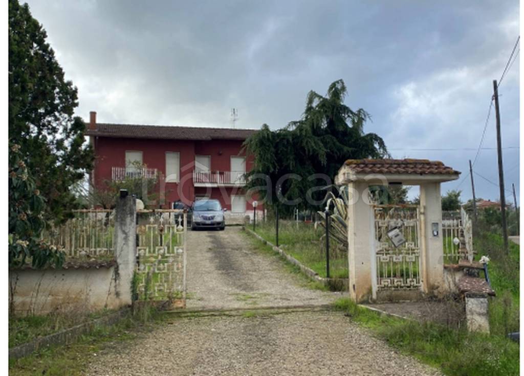 immagine annuncio 2 di 13
