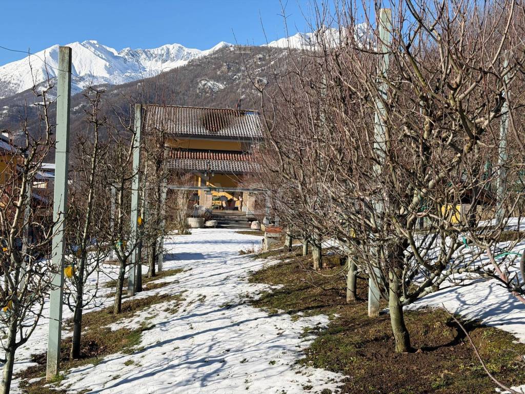 immagine annuncio 9 di 15