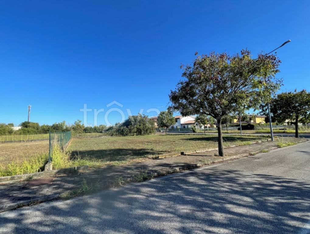 immagine annuncio 7 di 12