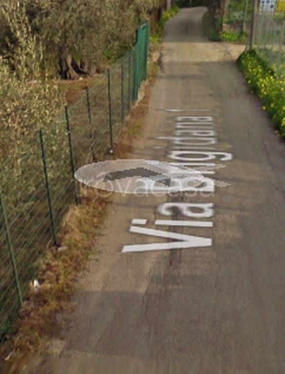 immagine annuncio 6 di 14