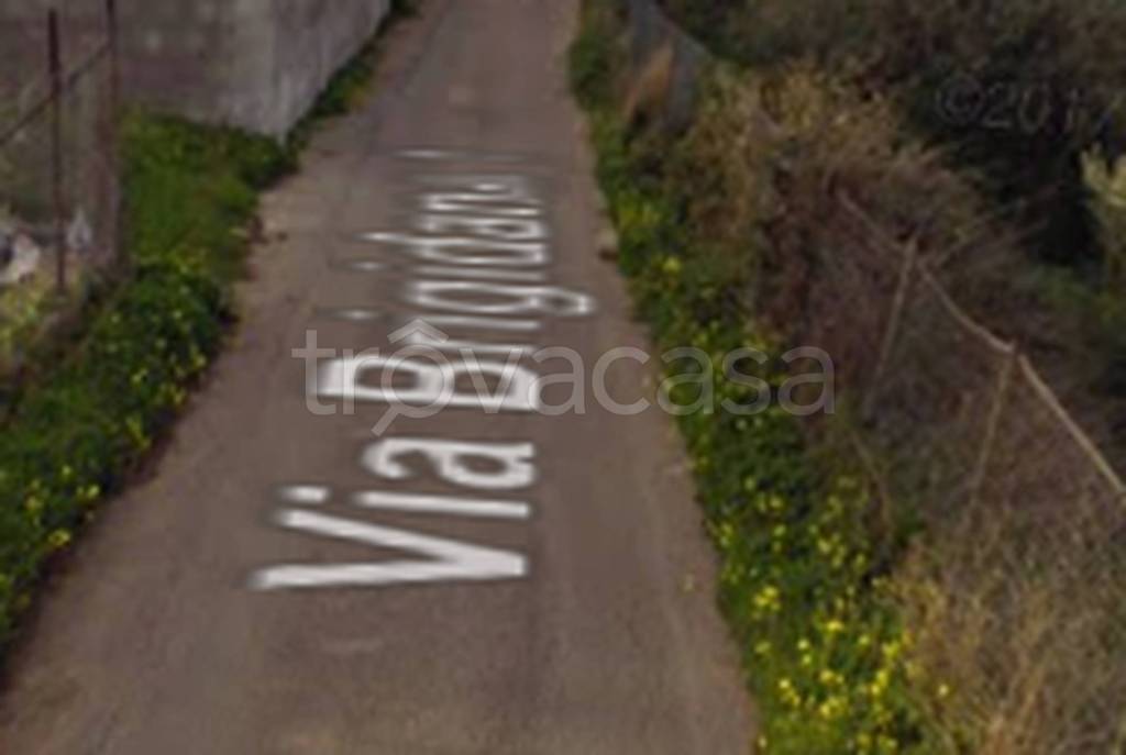 immagine annuncio 7 di 14