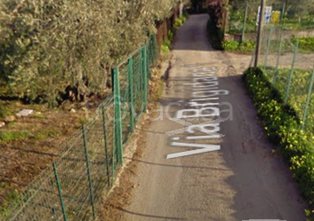 immagine annuncio 9 di 14