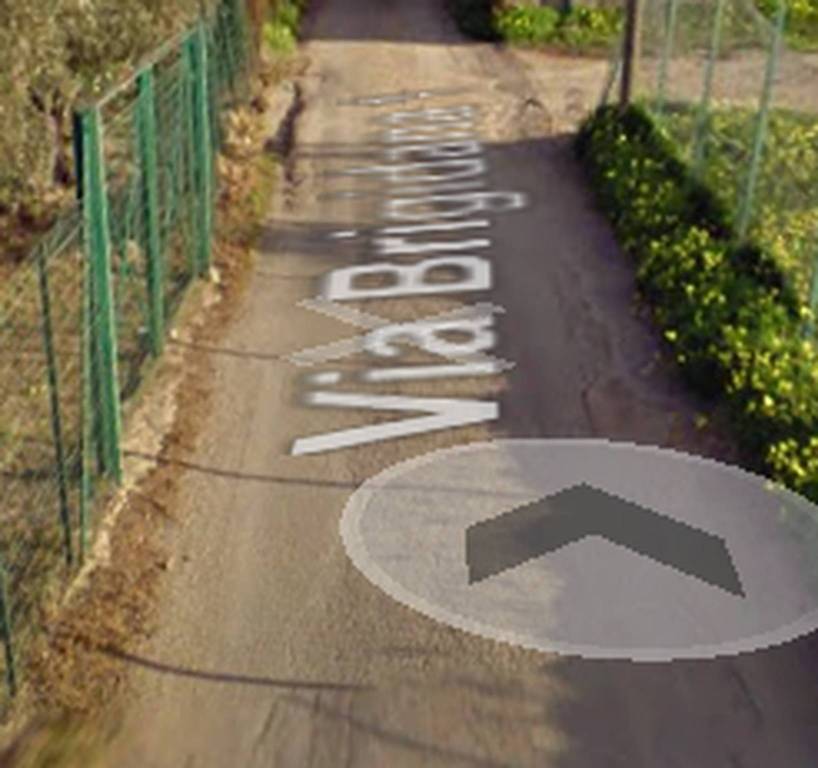 immagine annuncio 11 di 14