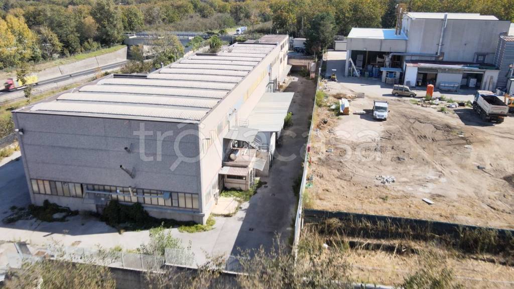 immagine annuncio 4 di 13