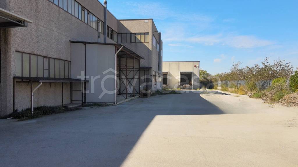 immagine annuncio 8 di 13