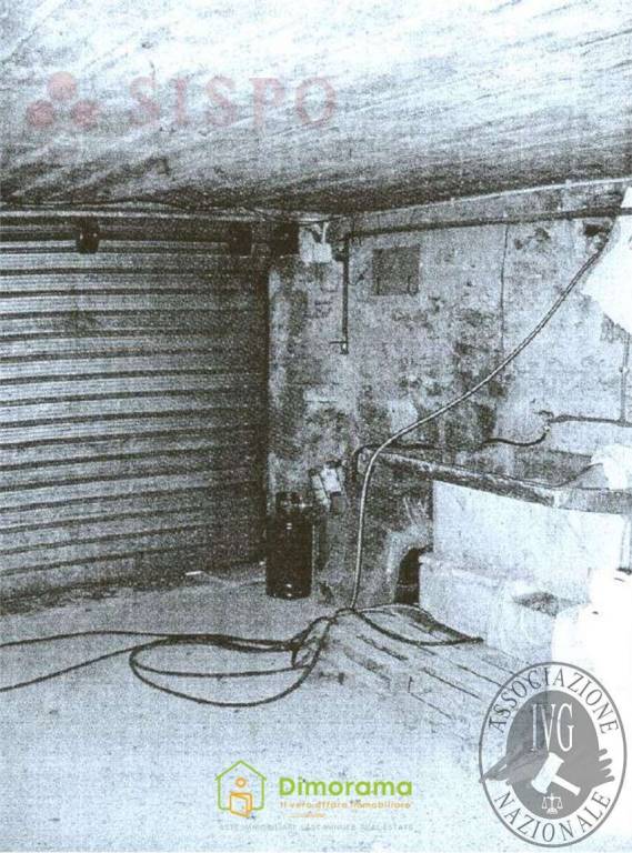 immagine annuncio 3 di 6