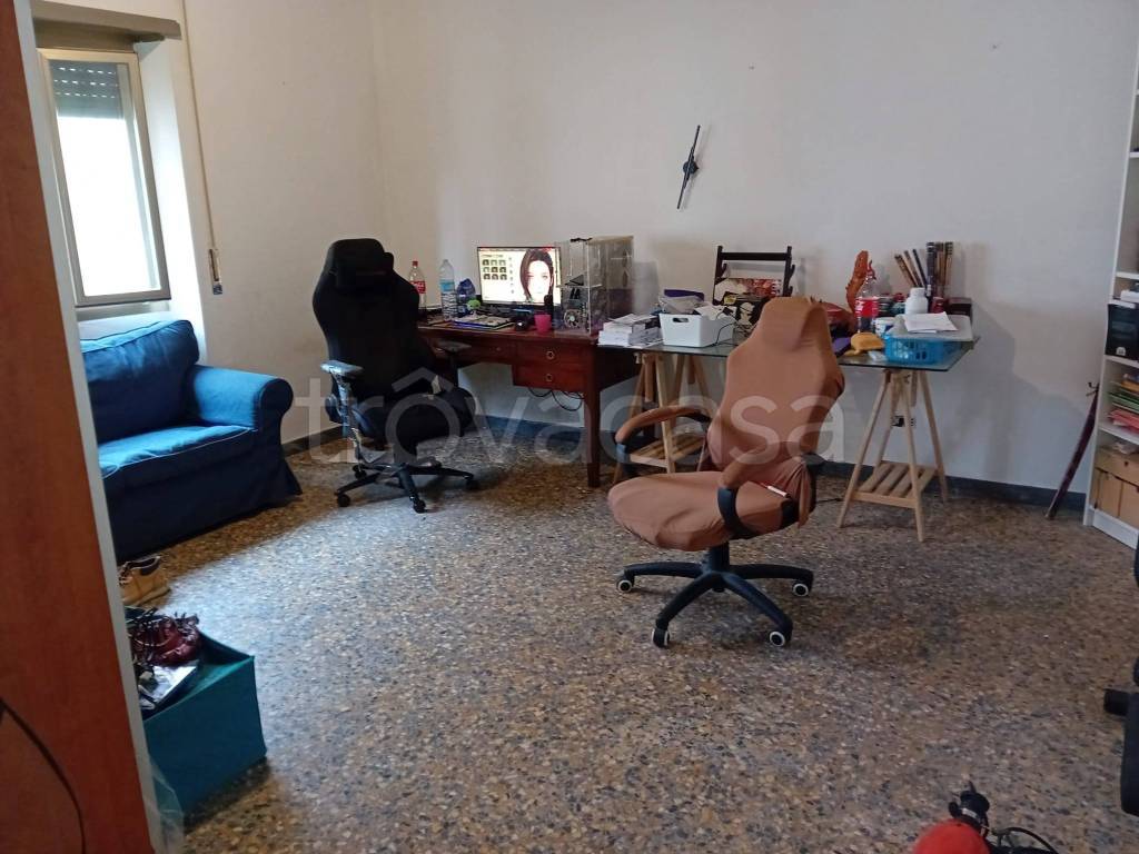 immagine annuncio 6 di 14