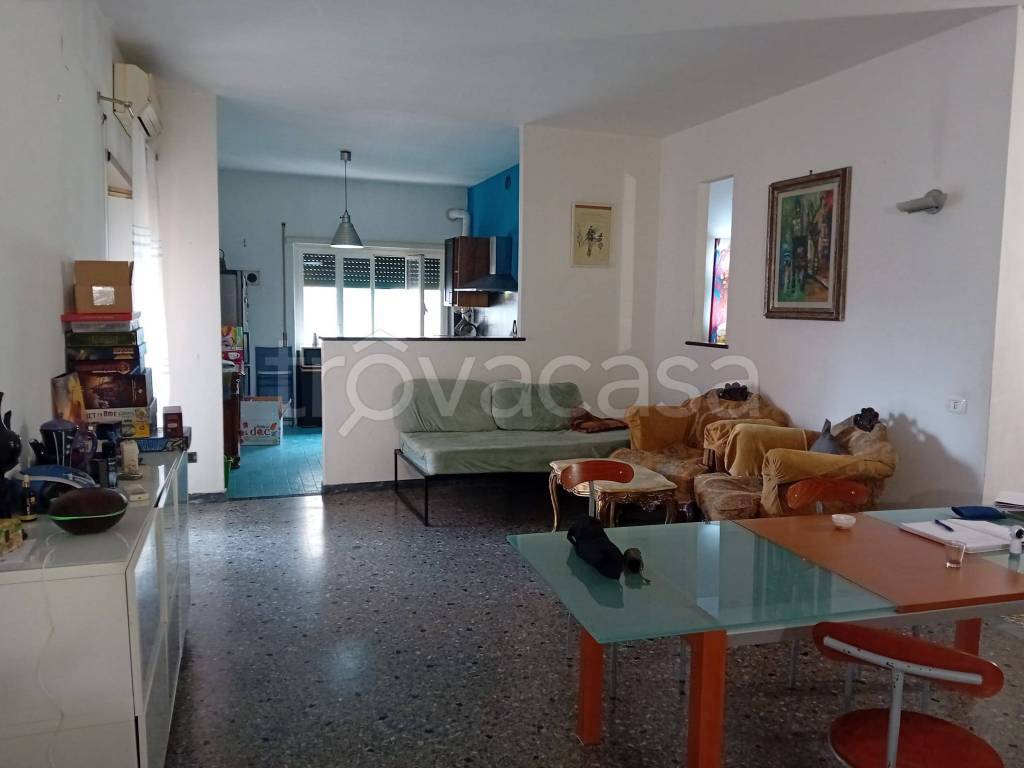 immagine annuncio 10 di 14