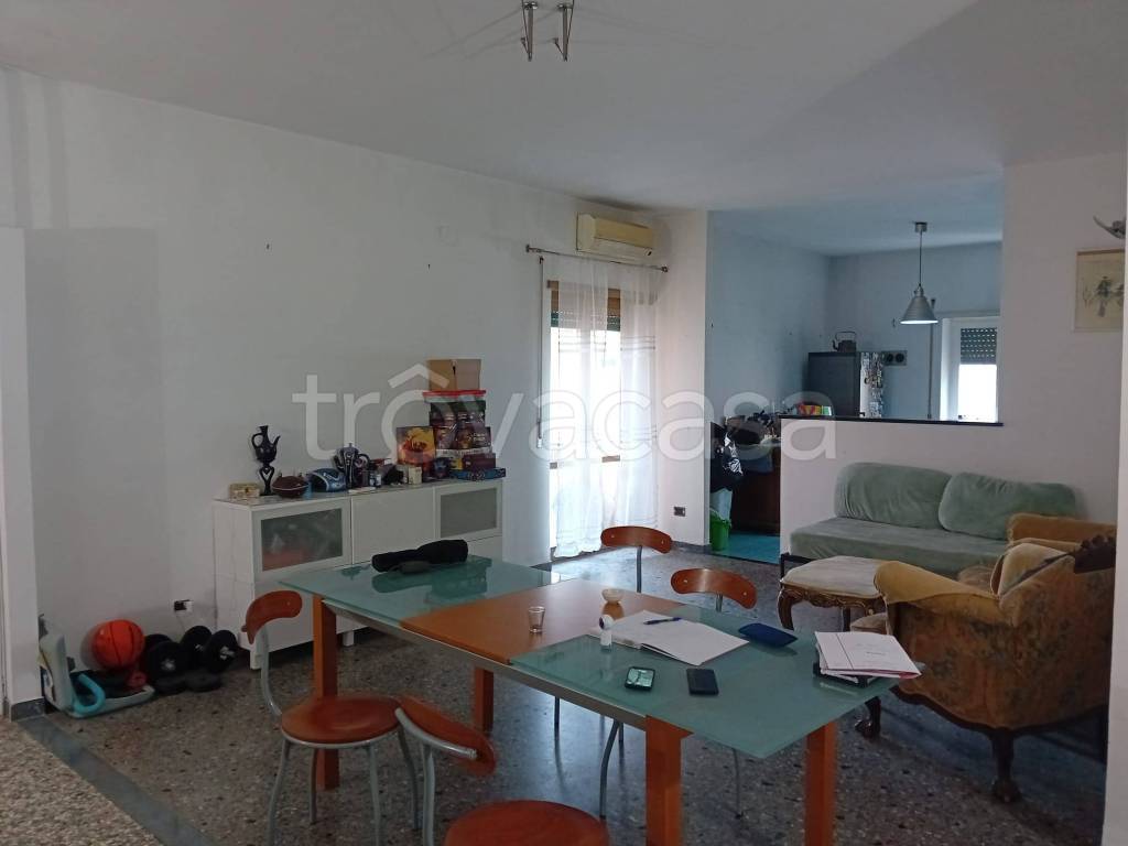 immagine annuncio 12 di 14