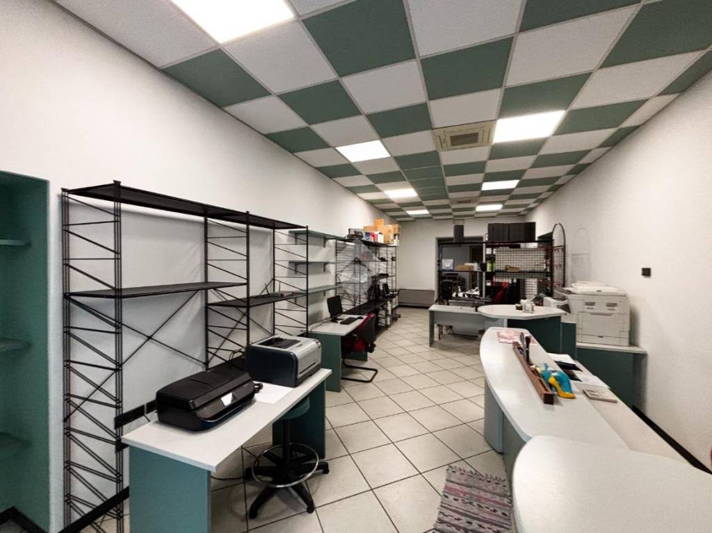 immagine annuncio 11 di 15