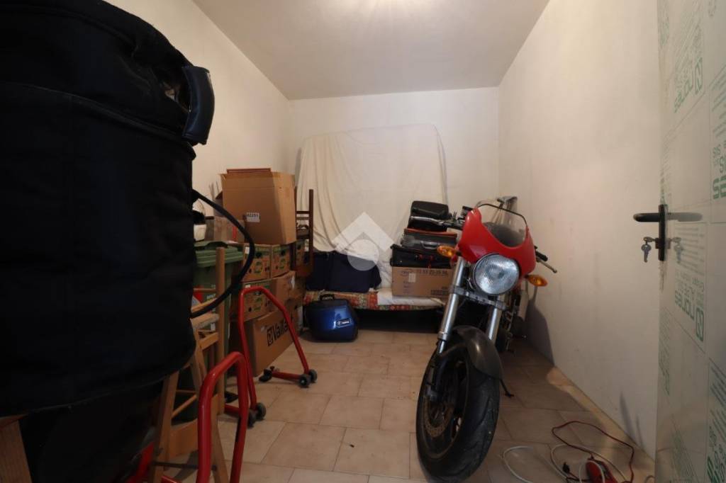 immagine annuncio 12 di 14