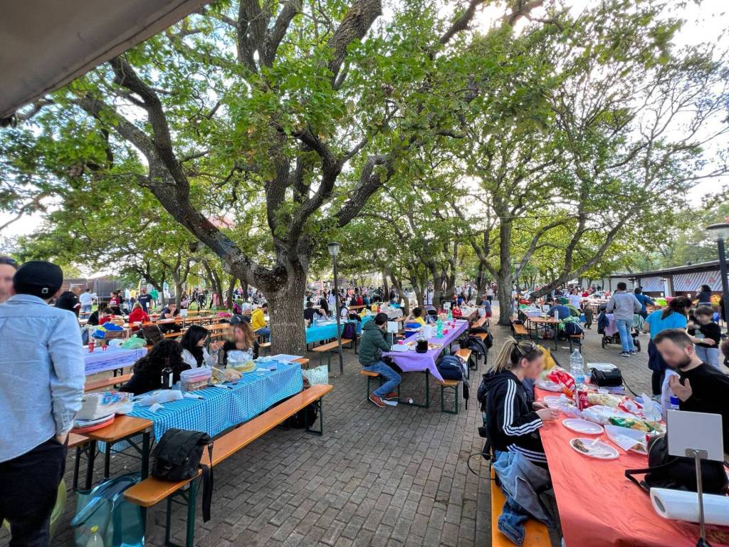 immagine annuncio 8 di 10