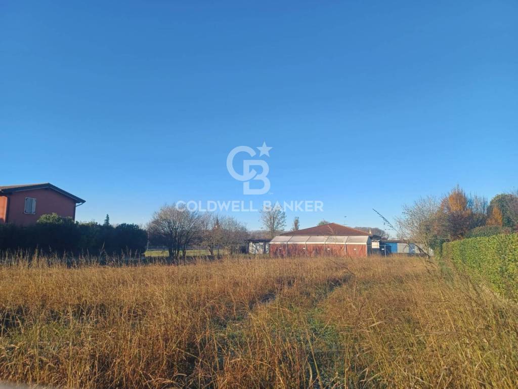 immagine annuncio 2 di 8