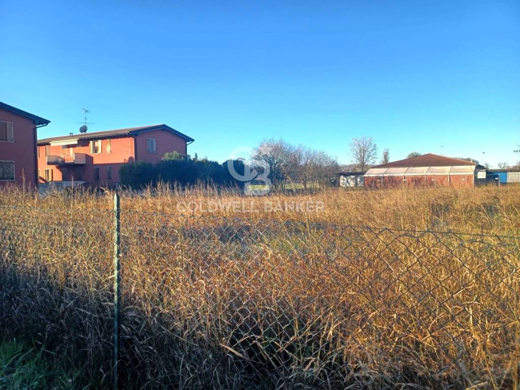 immagine annuncio 3 di 8