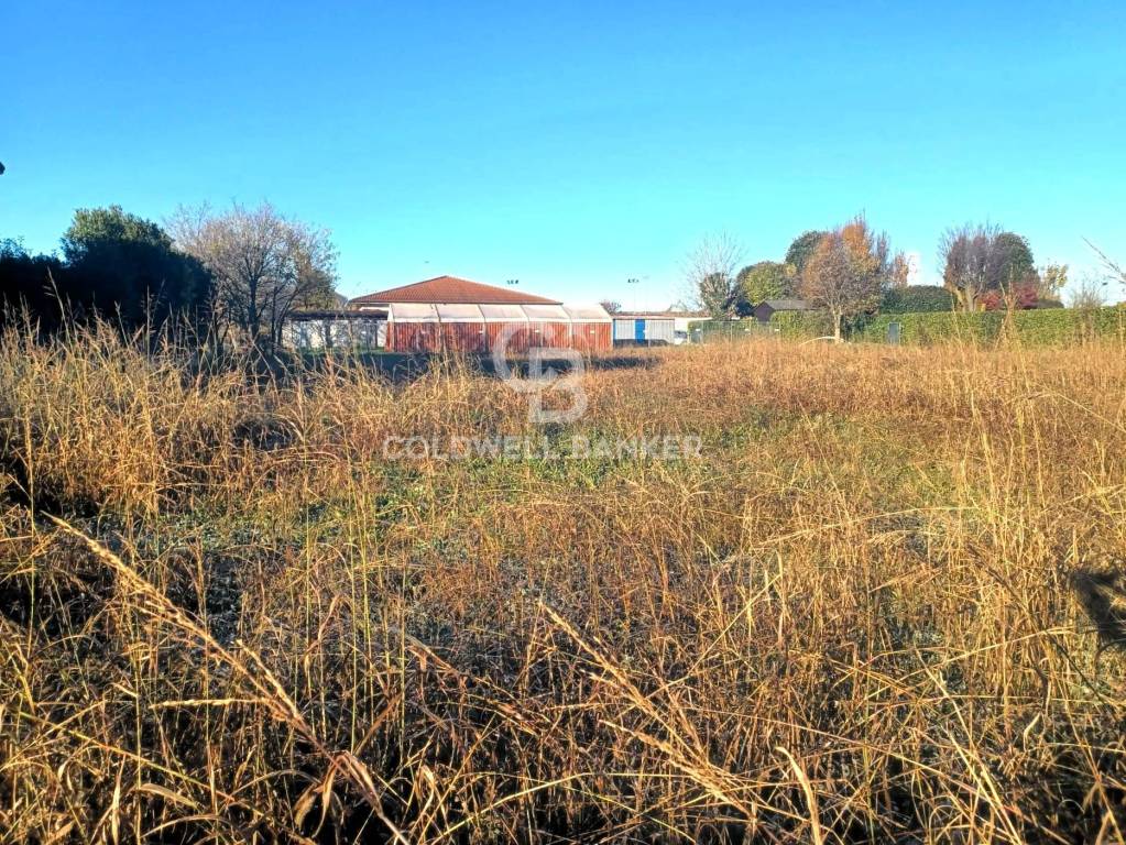 immagine annuncio 4 di 8