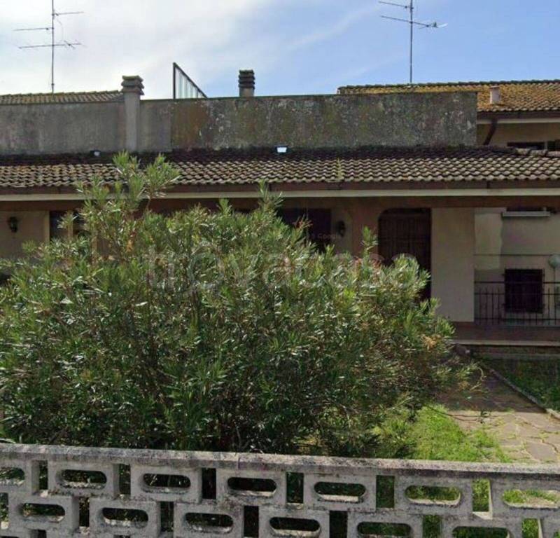 immagine annuncio 4 di 11