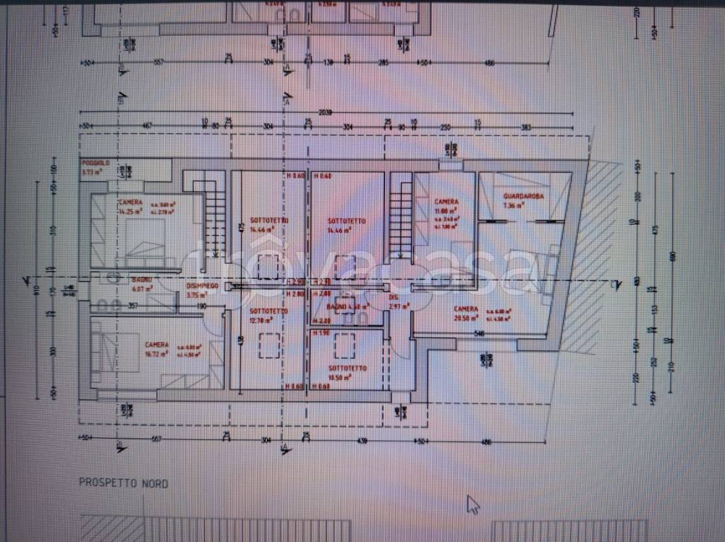 immagine annuncio 5 di 8