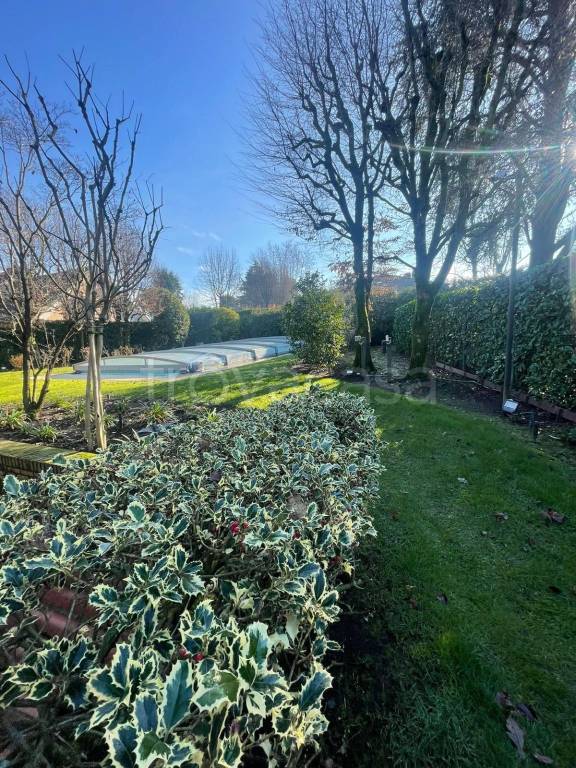 immagine annuncio 1 di 8