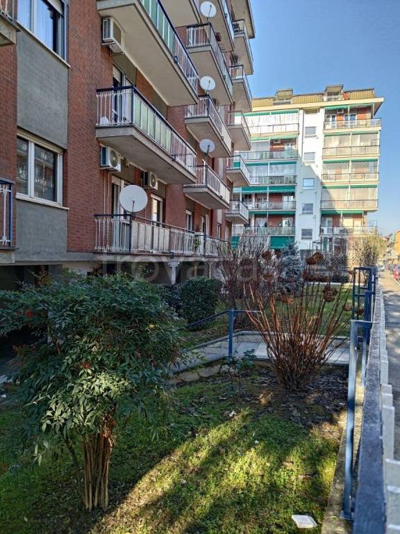 immagine annuncio 1 di 15