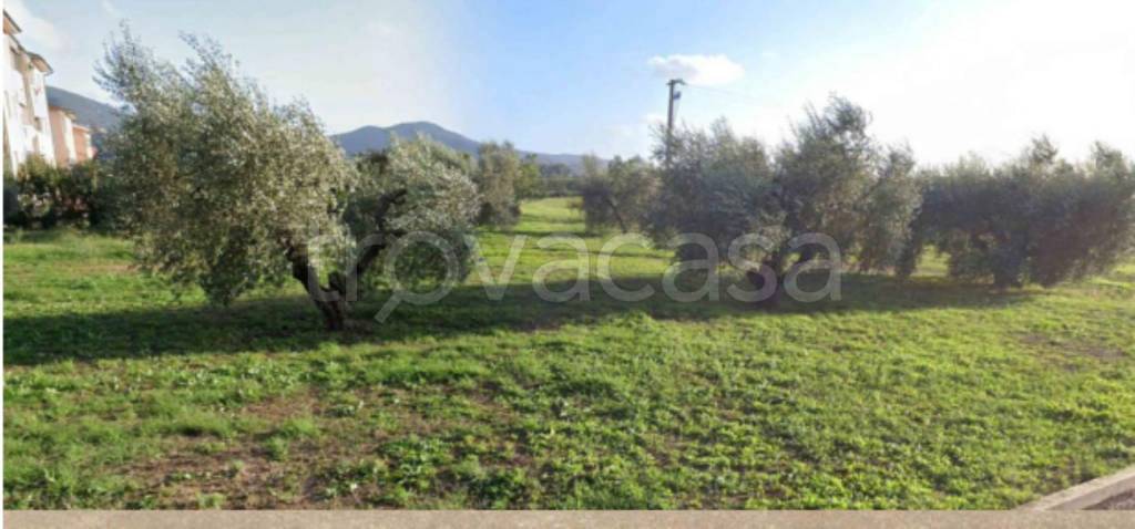 immagine annuncio 3 di 12