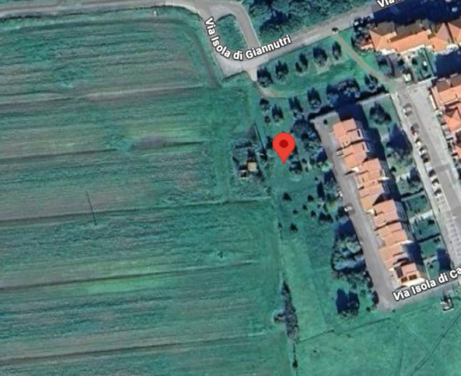 immagine annuncio 5 di 12