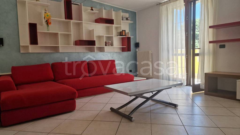 immagine annuncio 4 di 15