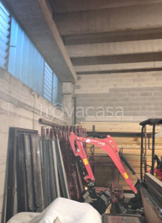 immagine annuncio 5 di 11