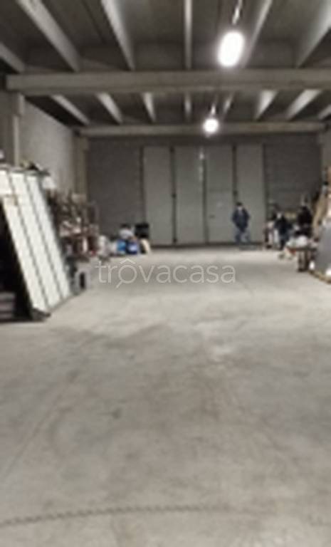 immagine annuncio 10 di 11