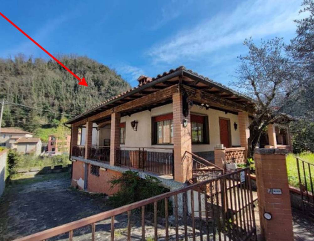 immagine annuncio 3 di 12