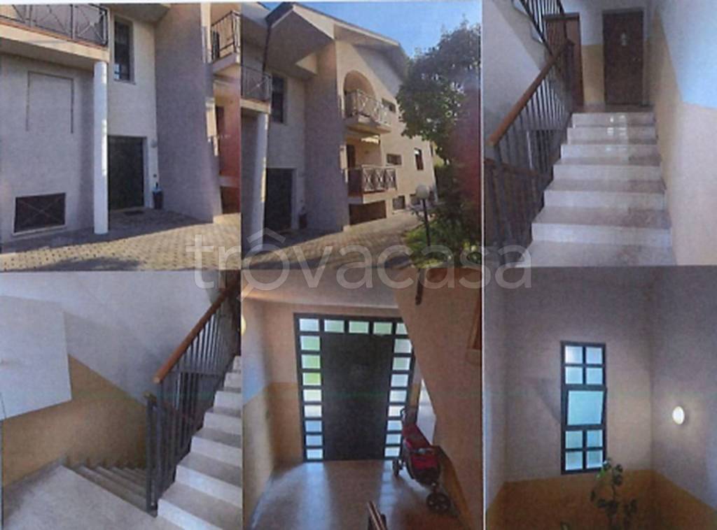 immagine annuncio 9 di 12