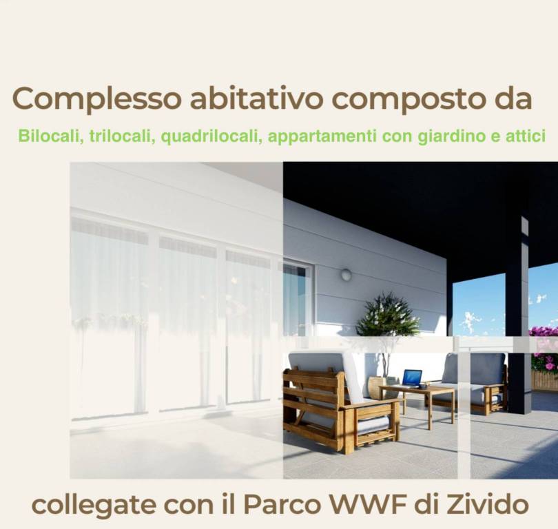 immagine annuncio 4 di 11