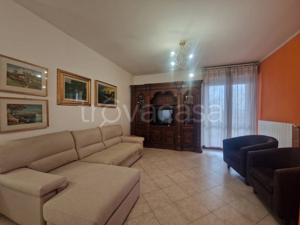 immagine annuncio 3 di 14