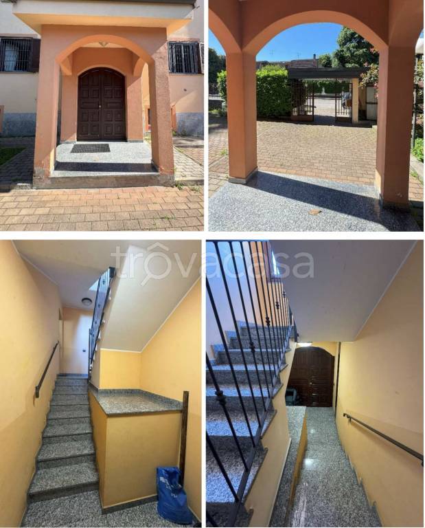 immagine annuncio 6 di 15