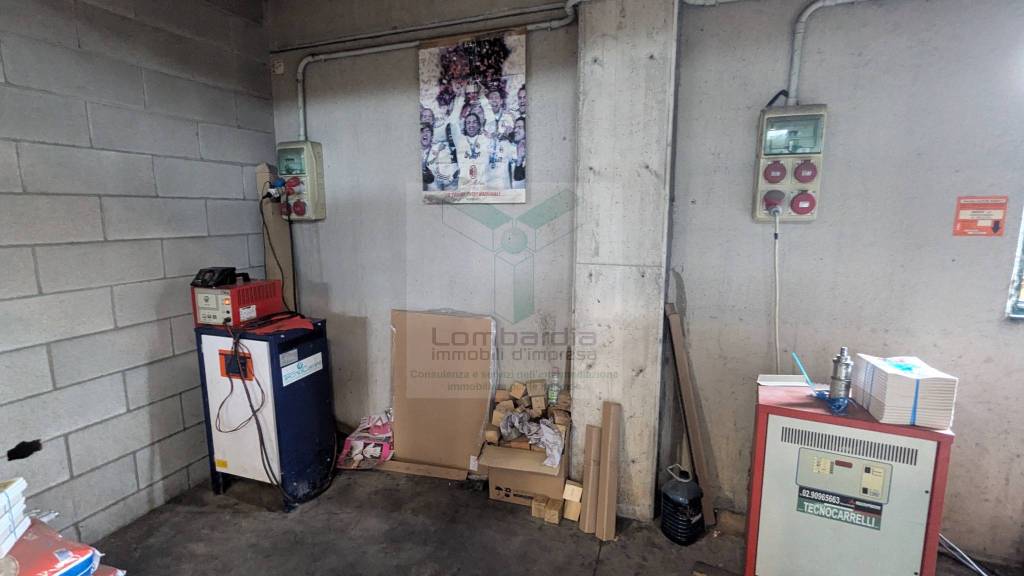 immagine annuncio 11 di 15