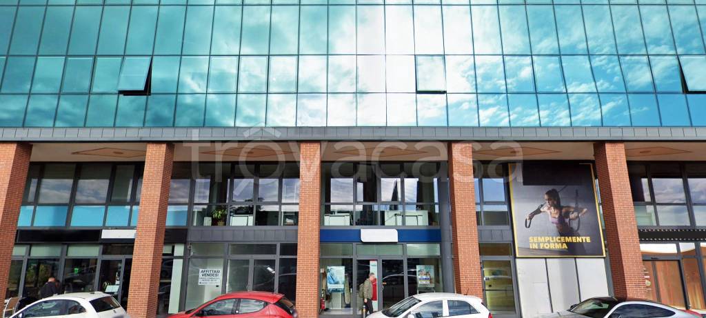 immagine annuncio 2 di 14