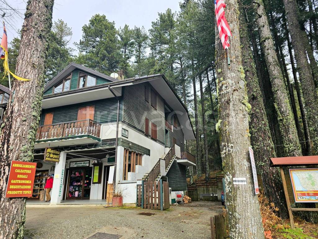 immagine annuncio 10 di 15