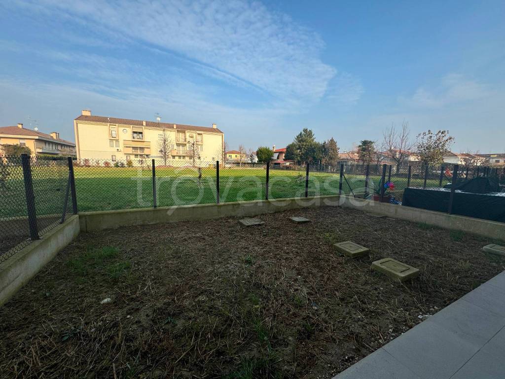 immagine annuncio 4 di 8